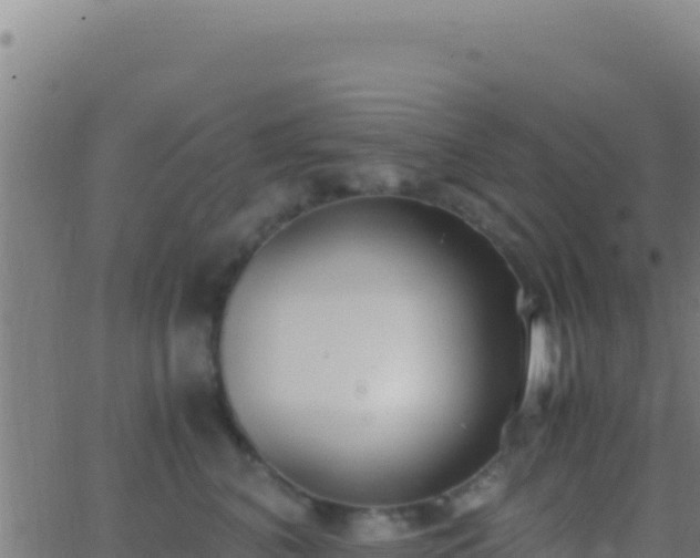 X0000062930616200601202028