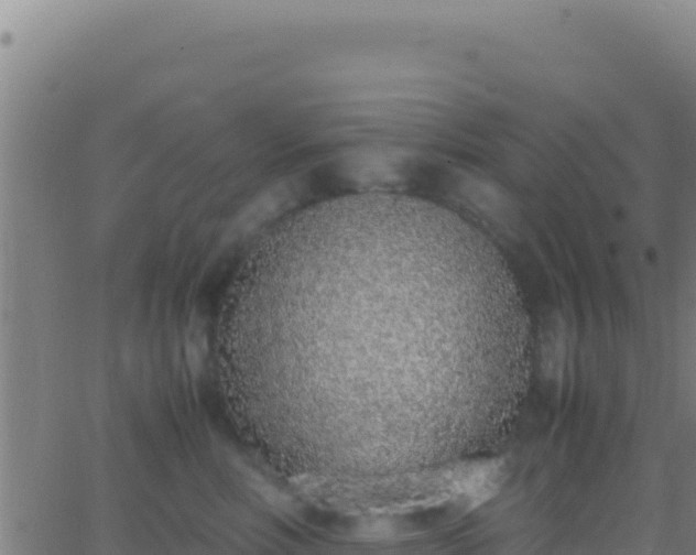 X0000062930618200601202028