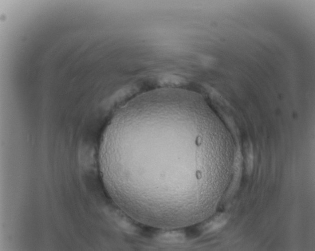 X0000062930619200601202028