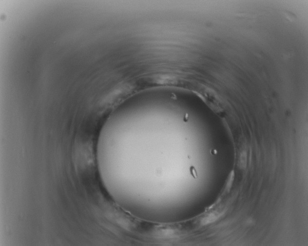 X0000062930620200601202028