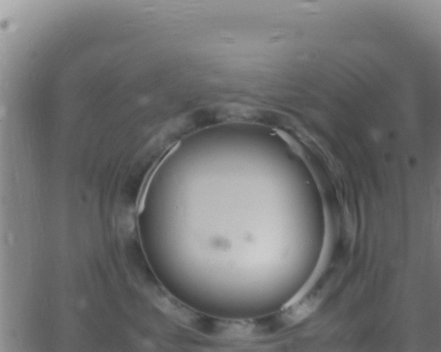 X0000062930621200601202028