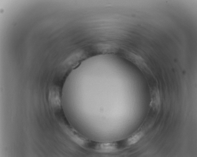 X0000062930622200601202028