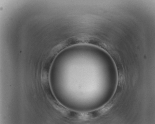 X0000062930623200601202028