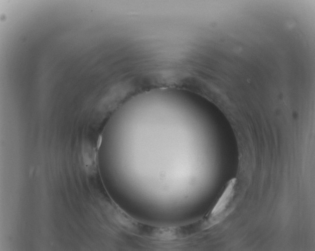 X0000062930624200601202028