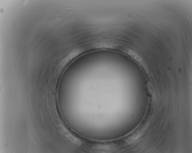 X0000062930625200601202027