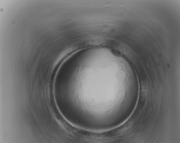 X0000062930626200601202027