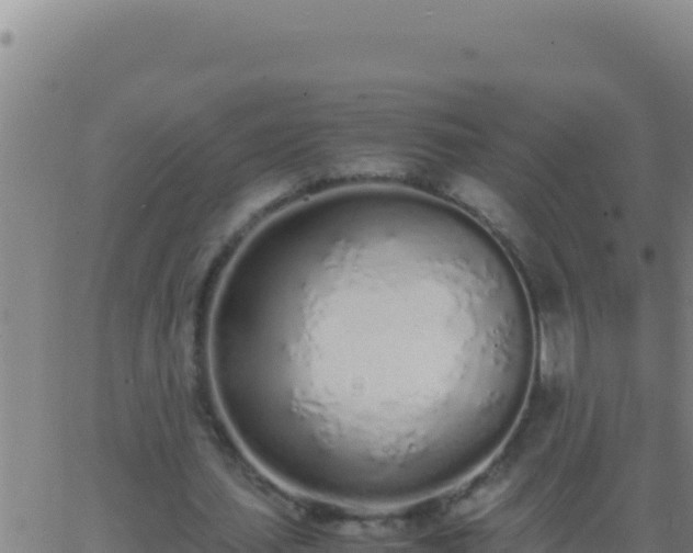 X0000062930627200601202027