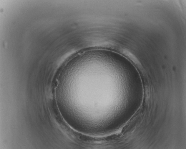 X0000062930628200601202027