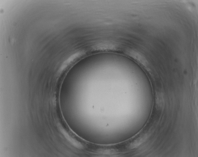 X0000062930629200601202027