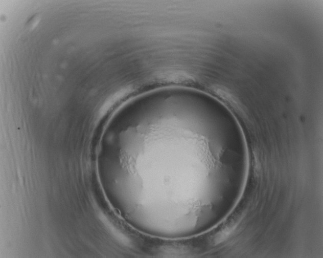 X0000062930630200601202027