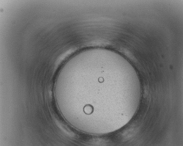 X0000062930632200601202027