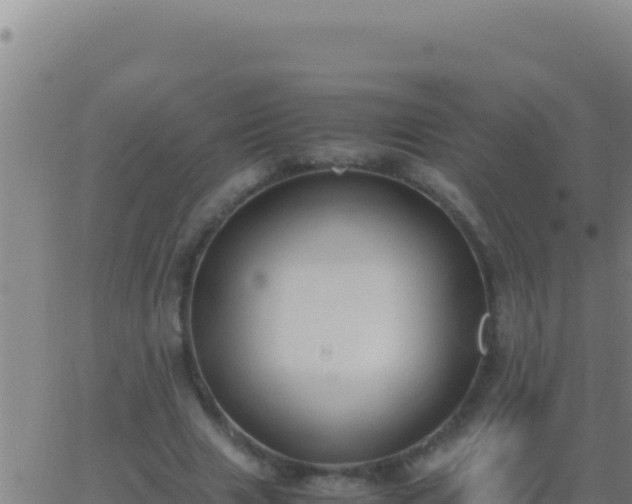 X0000062930633200601202027