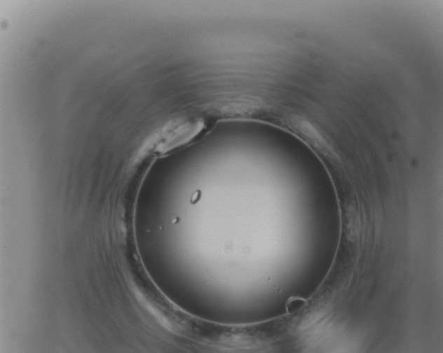 X0000062930634200601202028