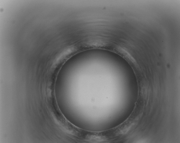 X0000062930635200601202028