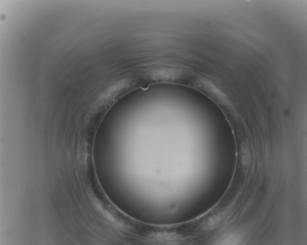 X0000062930637200601202028