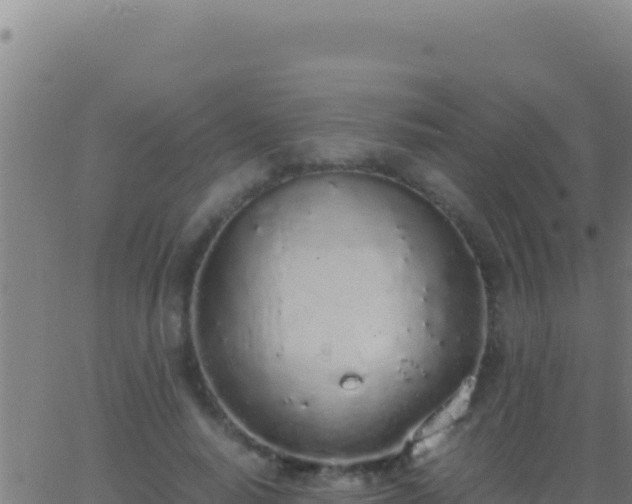 X0000062930640200601202028