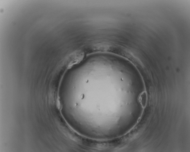 X0000062930641200601202028