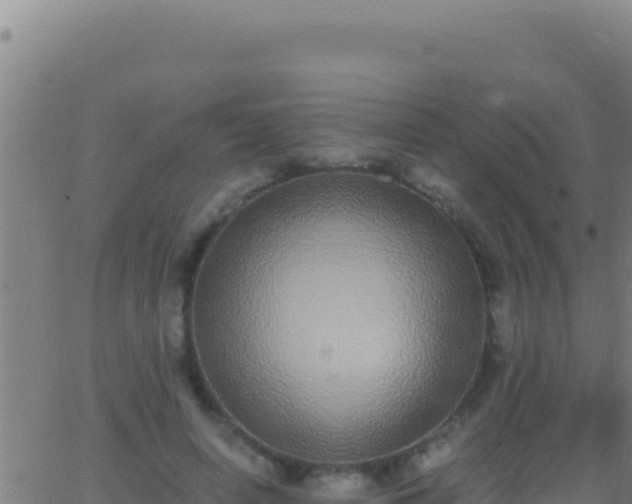 X0000062930642200601202028