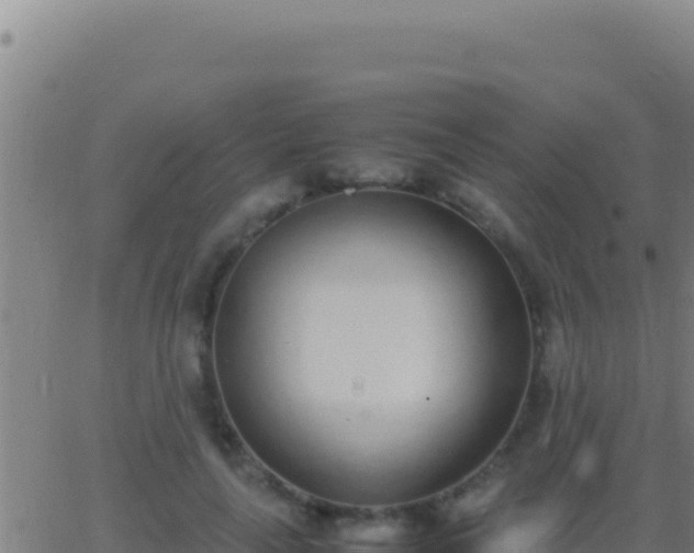 X0000062930643200601202028