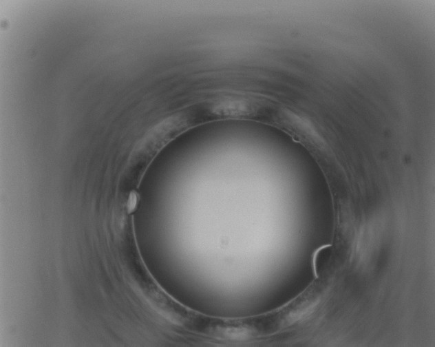 X0000062930645200601202028