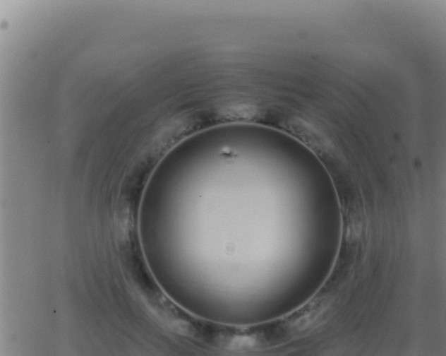 X0000062930647200601202028