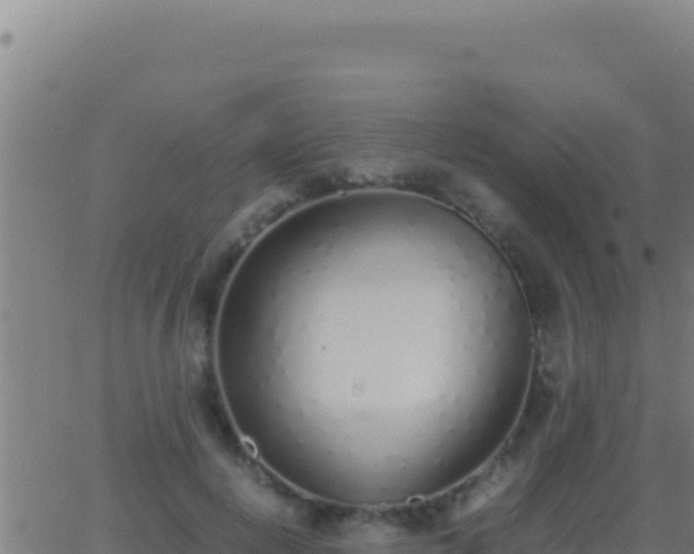 X0000062930648200601202028