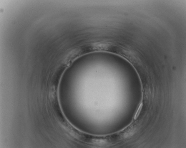 X0000062930649200601202028