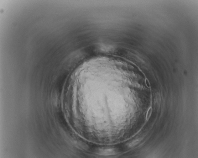 X0000062930651200601202028