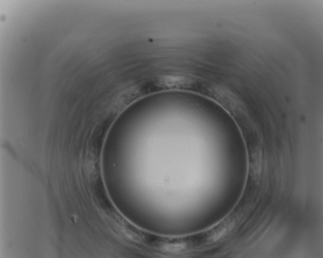 X0000062930653200601202028