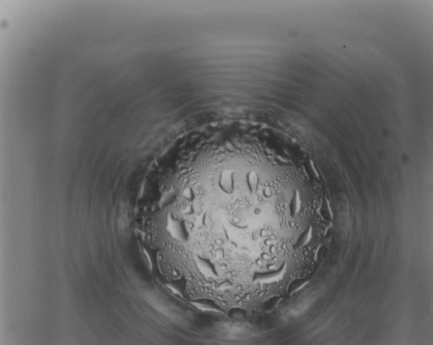 X0000062930654200601202028