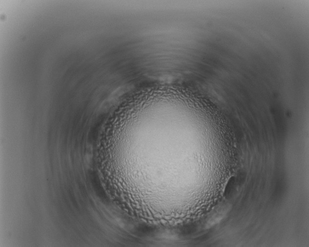 X0000062930656200601202028