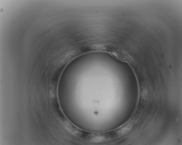 X0000062930658200601202028