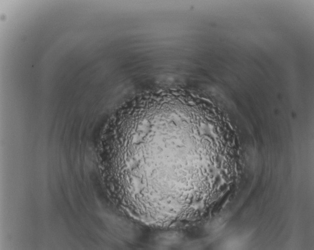 X0000062930659200601202028