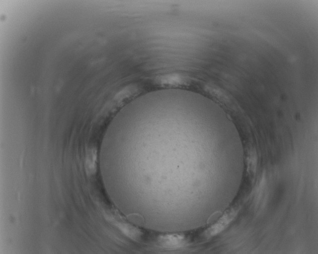 X0000062930660200601202028