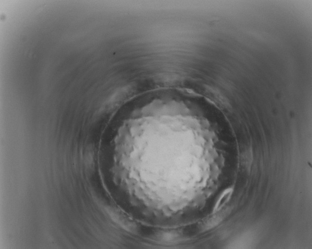 X0000062930662200601202028