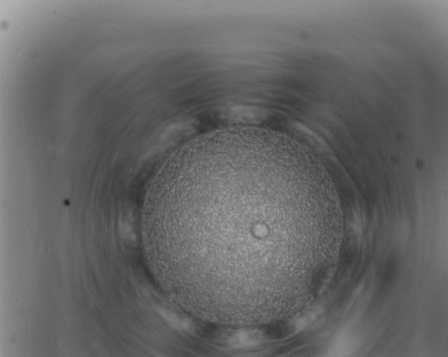 X0000062930663200601202028