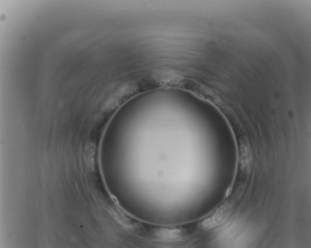 X0000062930664200601202028