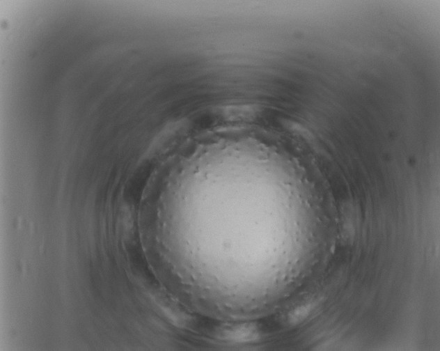 X0000062930667200601202028