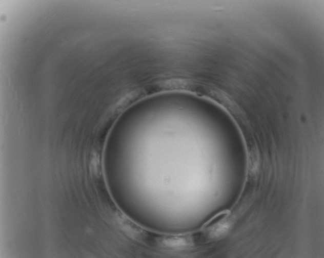 X0000062930669200601202028