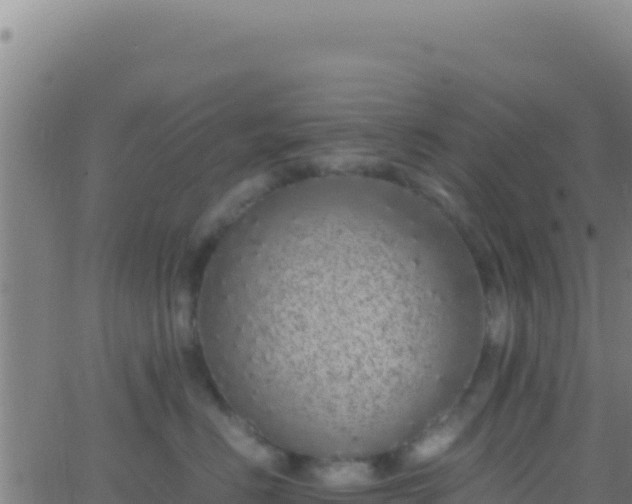 X0000062930670200601202028