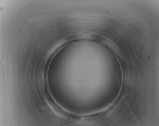 X0000062930674200601202027