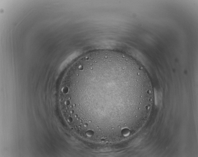 X0000062930675200601202027