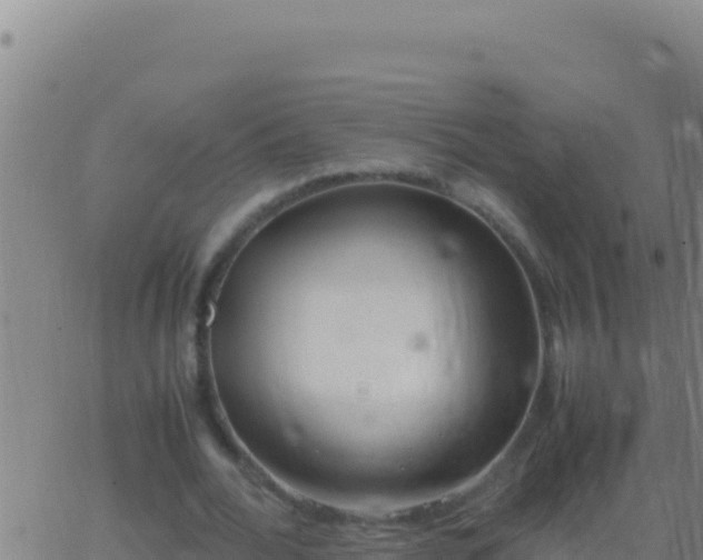 X0000062930676200601202027