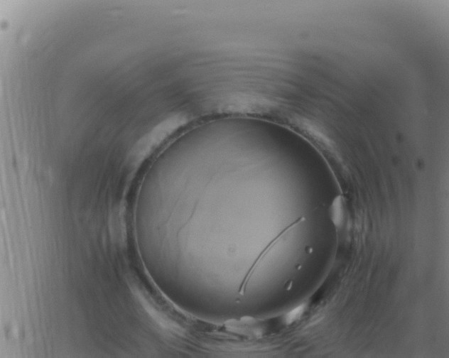 X0000062930678200601202027