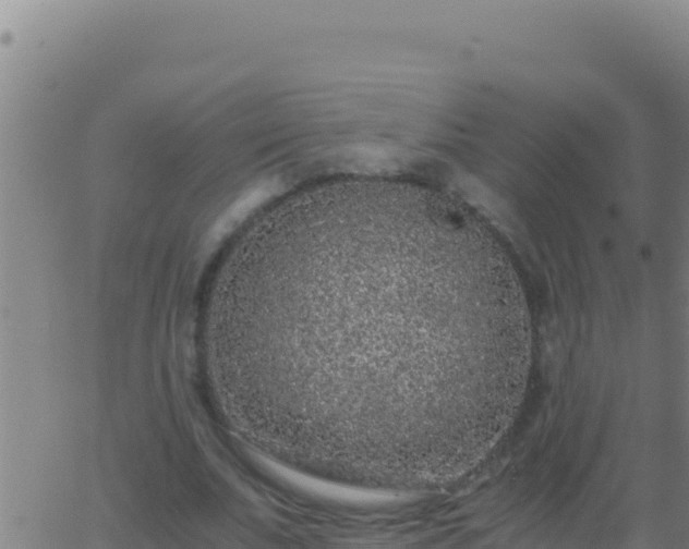 X0000062930679200601202027