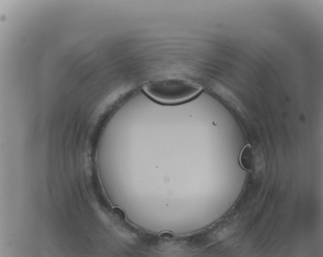 X0000062930680200601202027