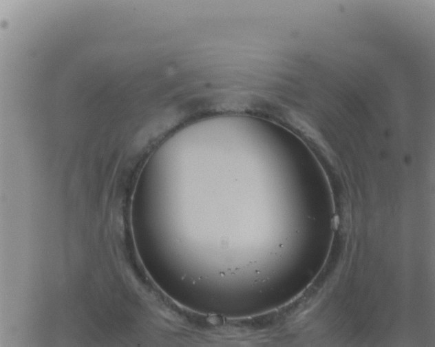 X0000062930681200601202027