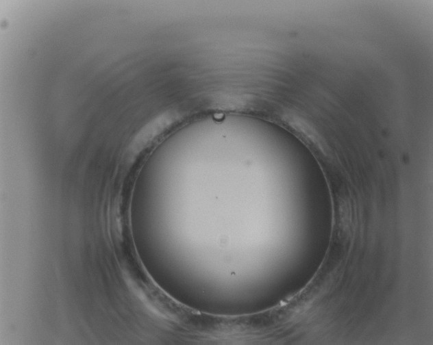 X0000062930682200601202027