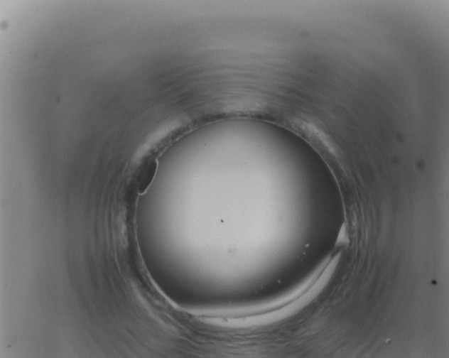 X0000062930684200601202027