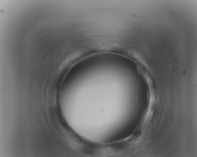 X0000062930685200601202027